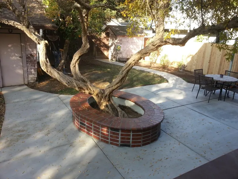 Brick tree ring by Brickhouse Masonry, Central Valley CA